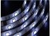 LED лента 5050/30 герметичная (IP65) standart